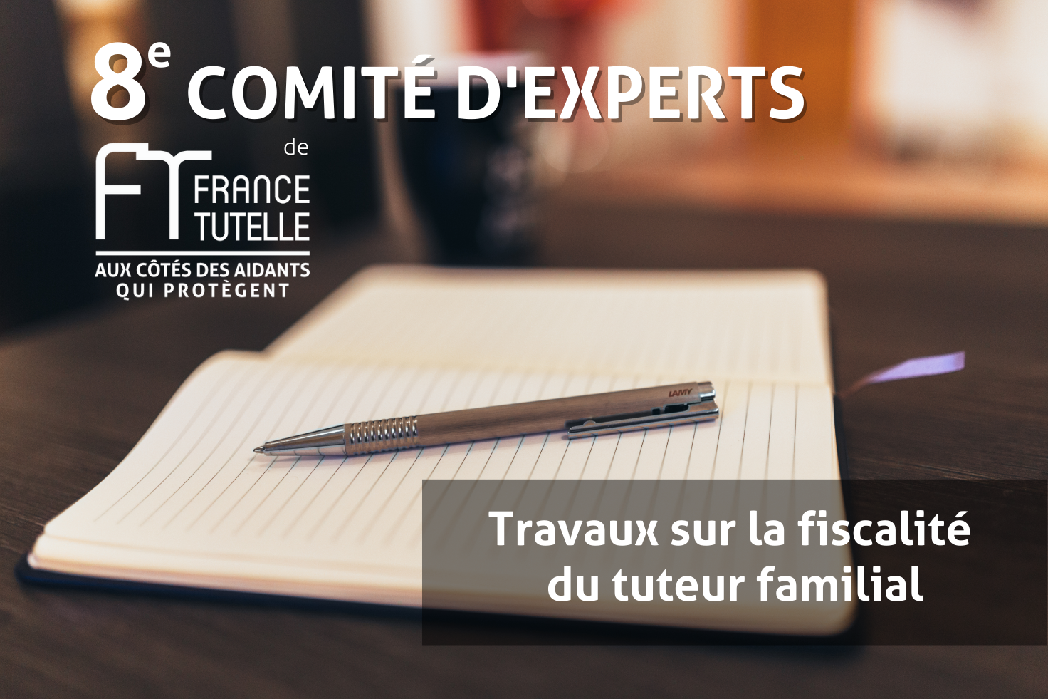 8e COMITÉ D'EXPERTS de France TUTELLE sur la fiscalité des tuteurs familiaux