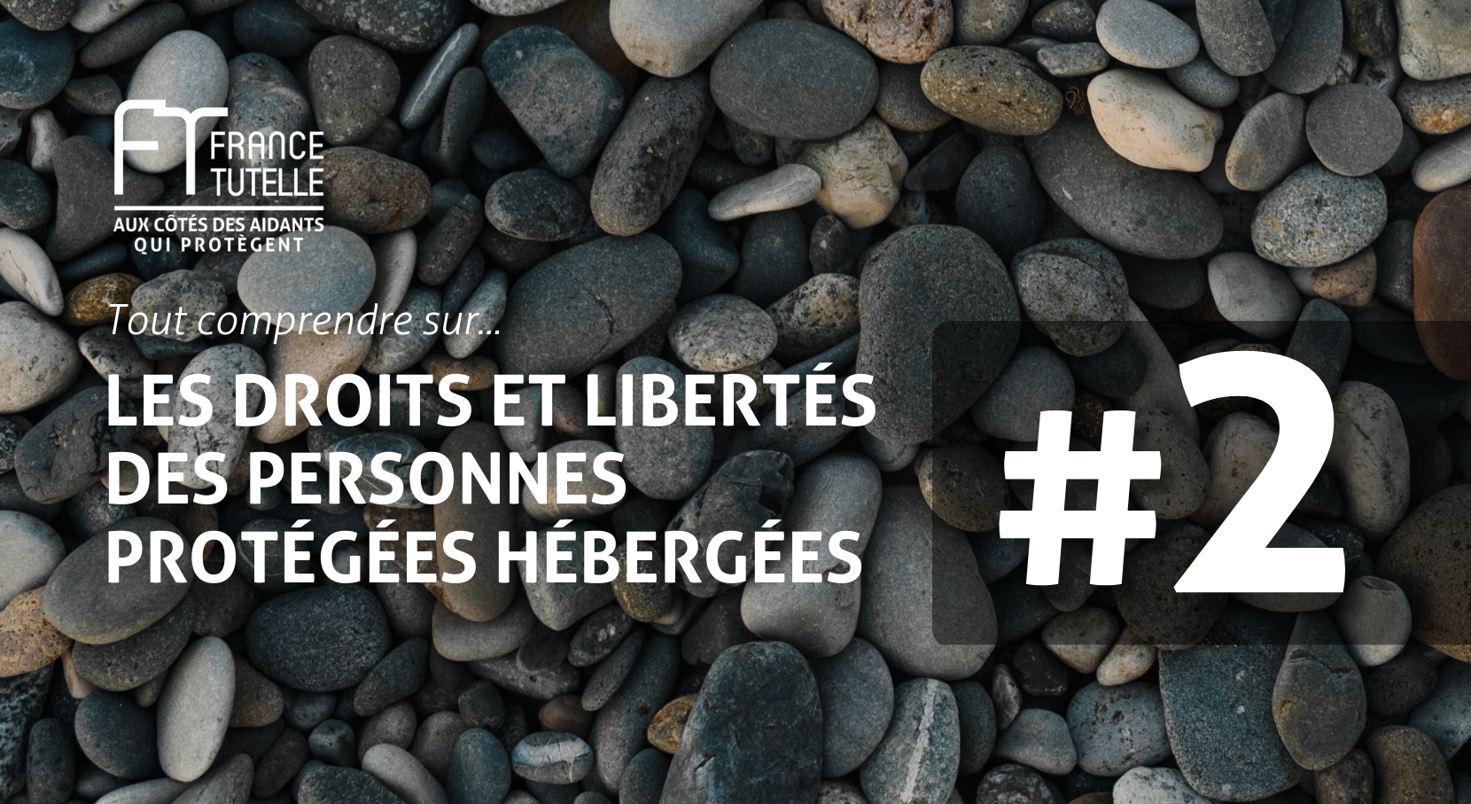 Le droit des personnes hébergées