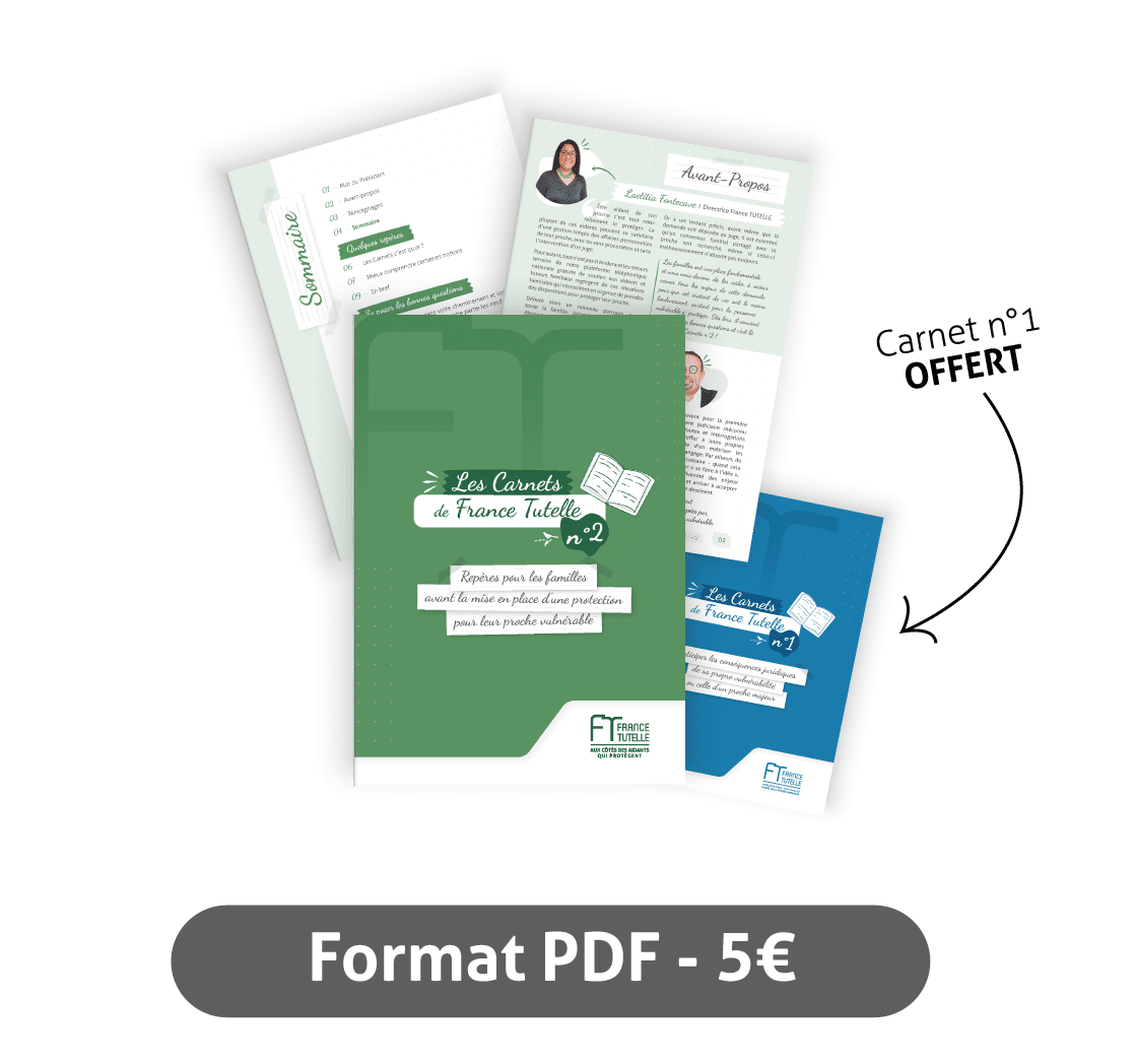 Les Carnets de France TUTELLE n°2 - En format PDF
