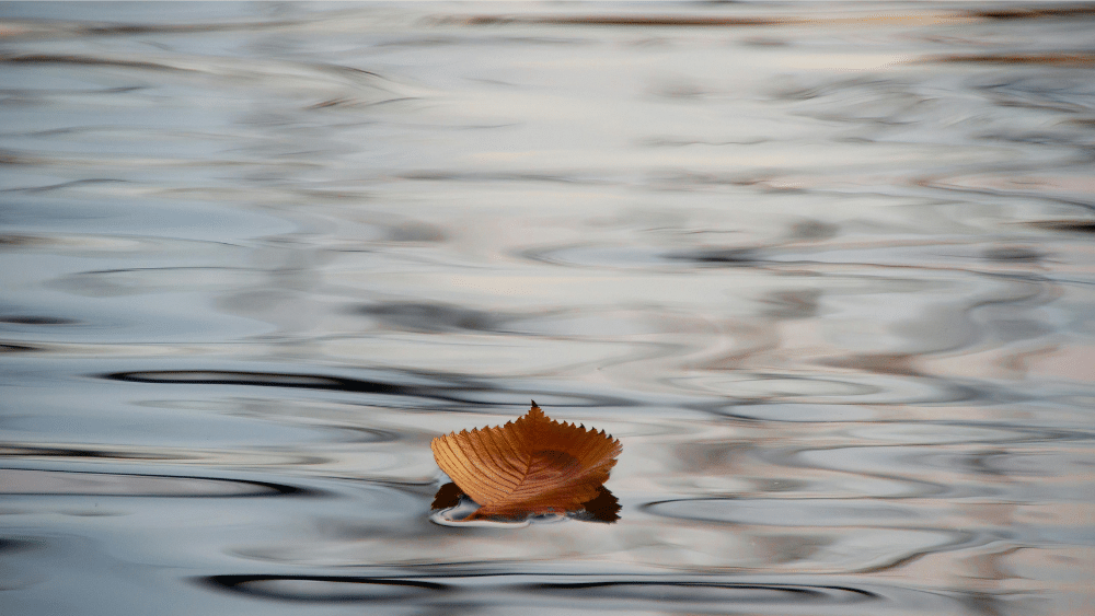 Les avantages du mandat de protection future