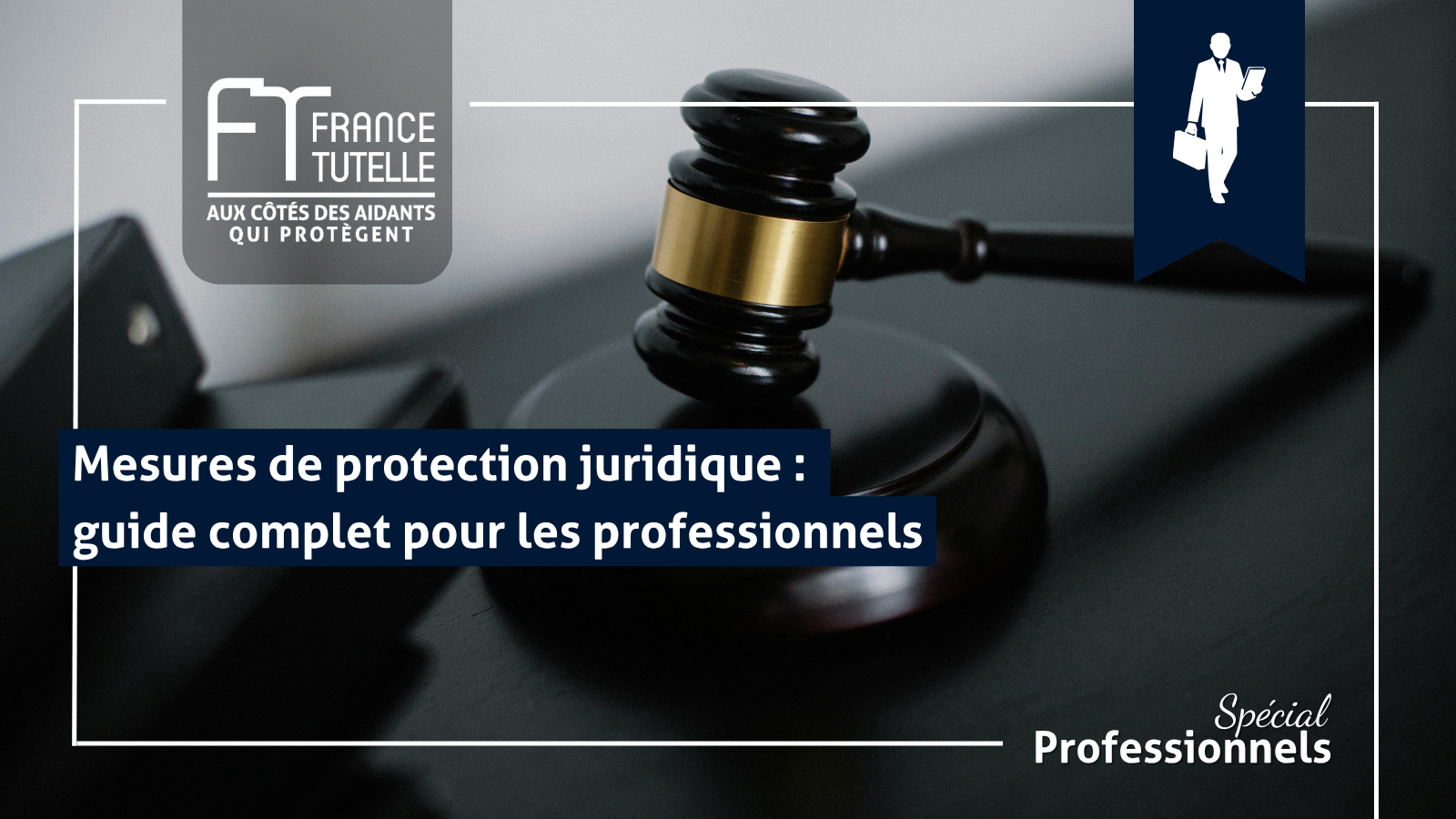 Mesures de protection juridique guide complet pour les professionnels