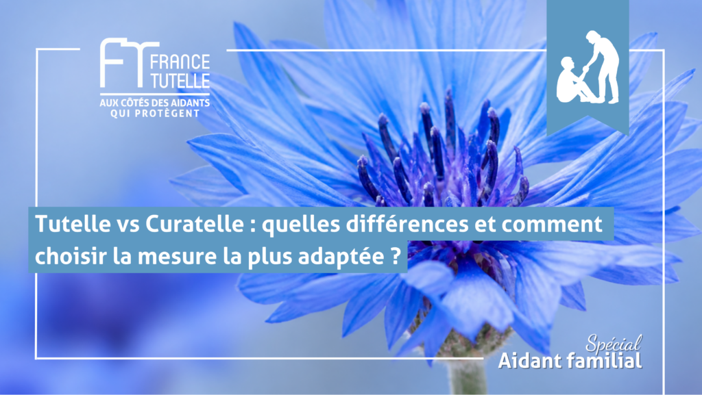 Tutelle vs Curatelle quelles différences et comment choisir la mesure la plus adaptée