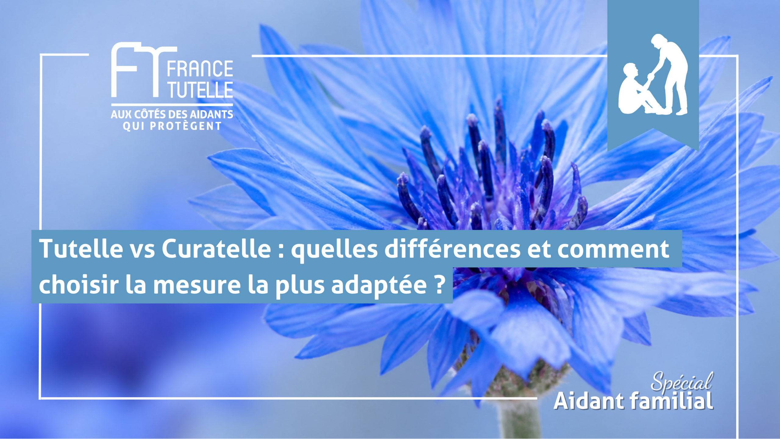 Tutelle vs Curatelle quelles différences et comment choisir la mesure la plus adaptée